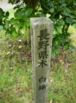 IMGP0401_サイズ変更