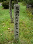 IMGP0402_サイズ変更